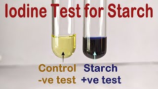 Iodine Test For Starch Practical Experiment [upl. by Dnomra]