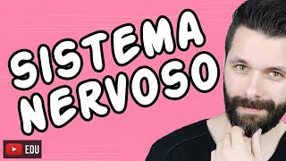 SISTEMA NERVOSO  FISIOLOGIA  Aula  Biologia com Samuel Cunha [upl. by Profant]