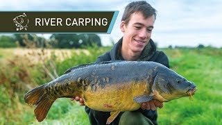 River Carp Fishing for BEAUTIFUL Carp [upl. by Arihsat]