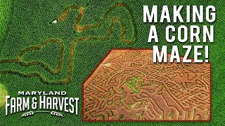 How to Make a Corn Maze  Maryland Farm amp Harvest [upl. by Det]