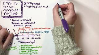 Introduction to plant circadian rhythms [upl. by Corabel]