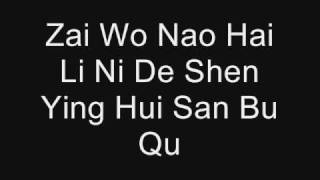 Qing Fei De Yi by Harlem Yu Lyrics PINYIN [upl. by Leo]