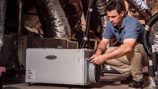 Whole House Dehumidifiers Pros amp Cons  Sylvane [upl. by Hutchinson]