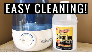 How to Clean a HUMIDIFIER NATURALLY With Vinegar  Andrea Jean [upl. by Bertilla]