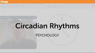 Circadian Rhythms  Psychology  Chegg Tutors [upl. by Mattland220]