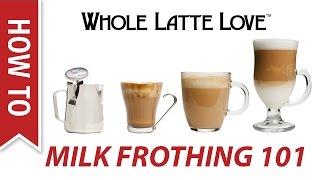 Milk Frothing for Beginners [upl. by Anaed]