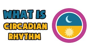 What is Circadian Rhythm  Explained in 2 min [upl. by Akimik]