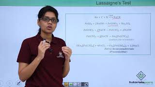 Class 11th – Qualitative Analysis  Test for Nitrogen  Organic Chemistry  Tutorials Point [upl. by Harp]