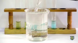 Food Tests  Iodine Biuret Benedicts Ethanol DCPIP [upl. by Notgnirrab815]