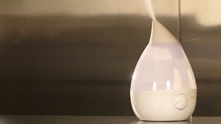 Humidifier Buying Guide Interactive Video  Consumer Reports [upl. by Nishi]