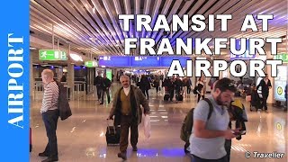 TRANSIT WALK AT FRANKFURT Airport FRA Terminal 1  Connection Flight Transfer Arriving amp Departing [upl. by Farny840]