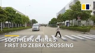 First 3D pedestrian crossing unveiled in southern China [upl. by Anica716]